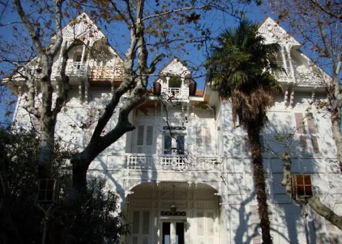 Anadolu Kulubu Adalar